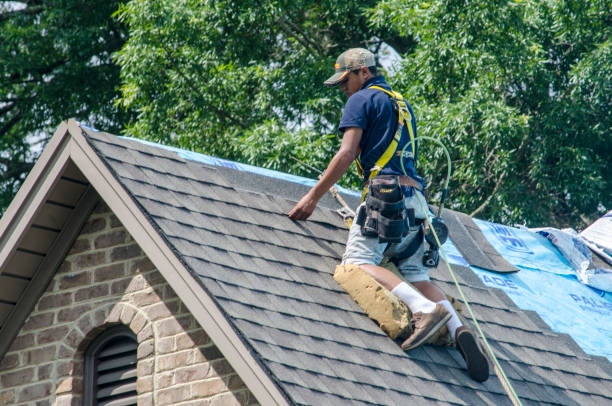 Best Roof Gutter Cleaning  in Atascocita, TX
